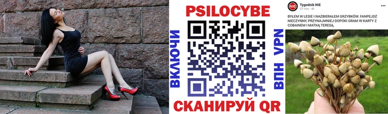 сайты даркнета клад  Яровое  Псилоцибиновые грибы Psilocybe 